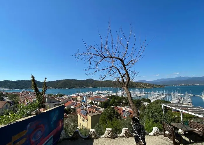 El Camino & Pub Hostel *