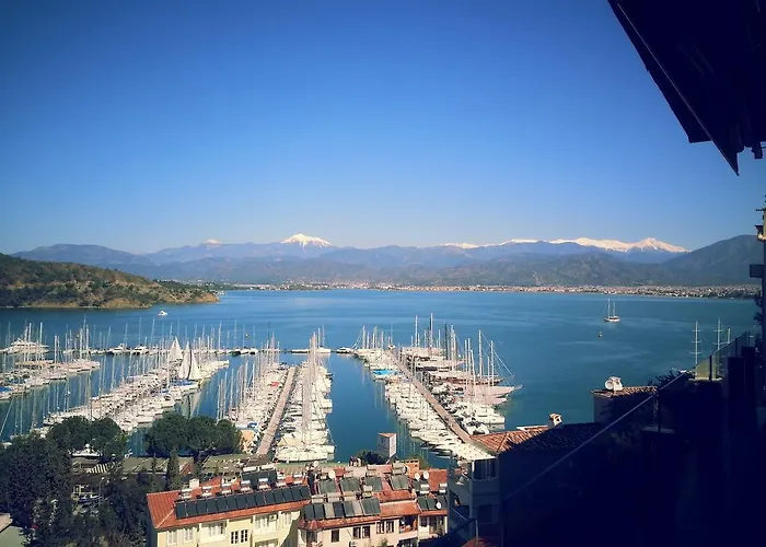 El Camino & Pub Hostel