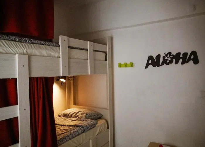 埃尔卡米诺旅舍及酒吧 *