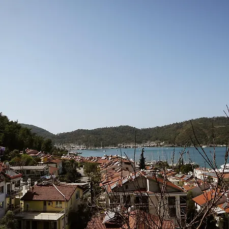 Hostel El Camino & Pub