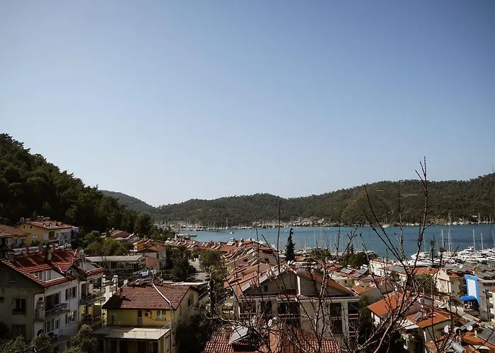 Hostel El Camino & Pub